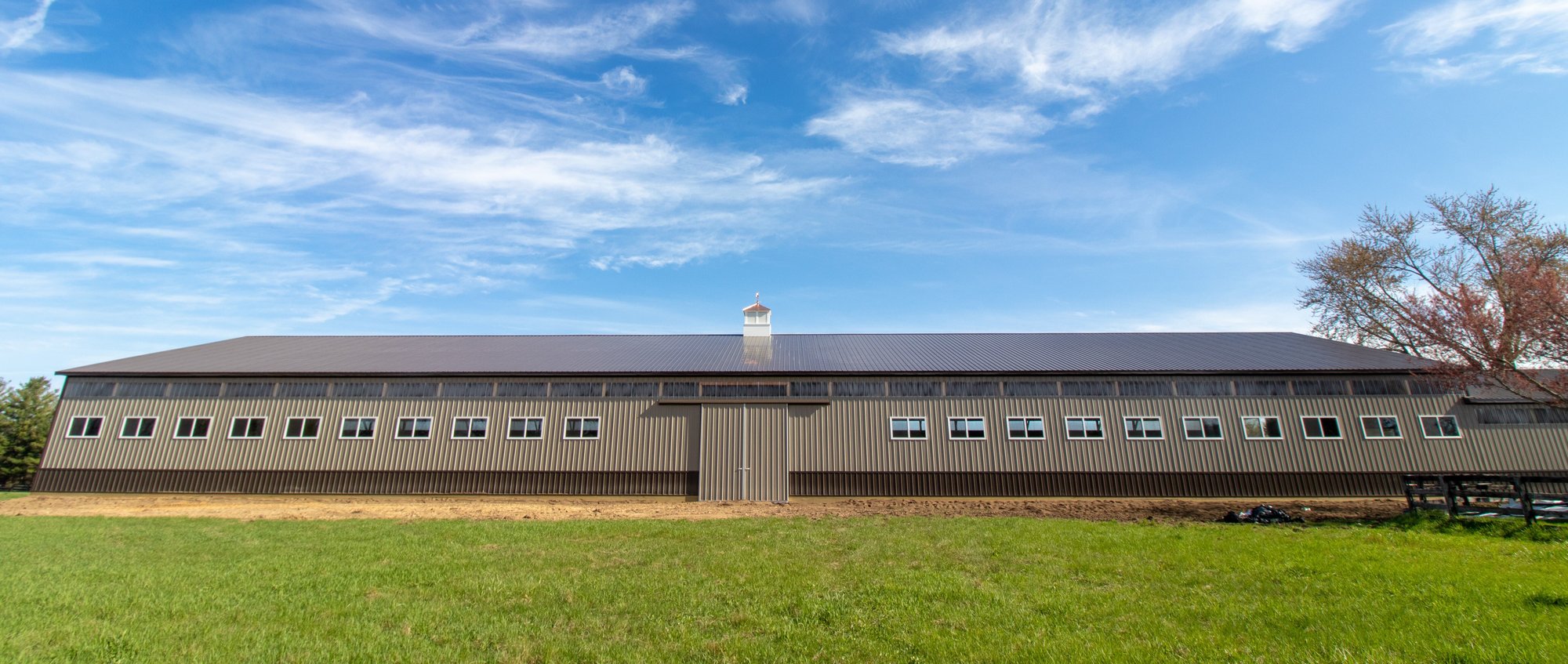 Horse Barn Arena Brown Tan Clean Panels 1