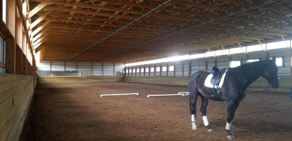 Horse Barn Arena Interior