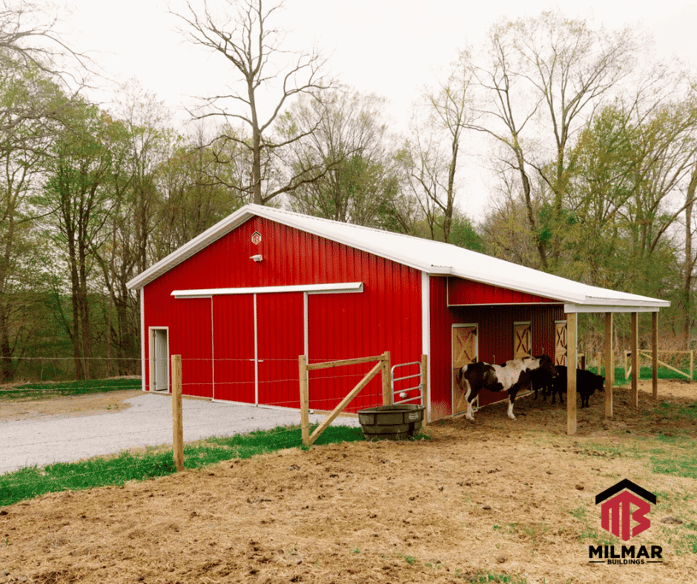 Post Frame Pole Barn Small Horse Animal Barn 36x36x10 With Stalls and Lean-to
